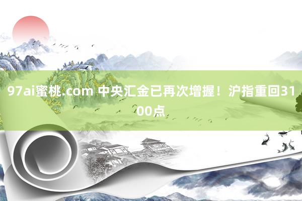 97ai蜜桃.com 中央汇金已再次增握！沪指重回3100点