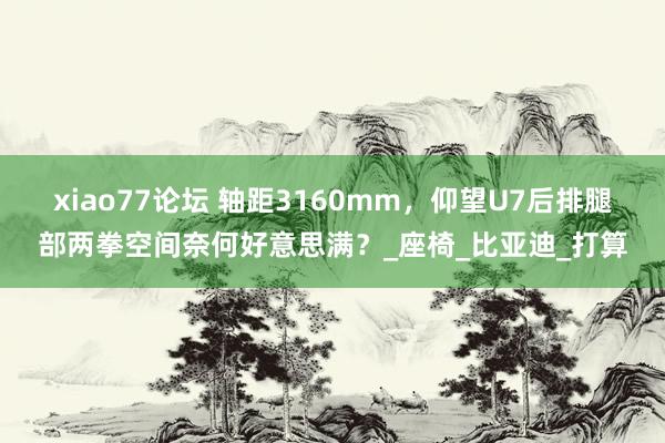 xiao77论坛 轴距3160mm，仰望U7后排腿部两拳空间奈何好意思满？_座椅_比亚迪_打算