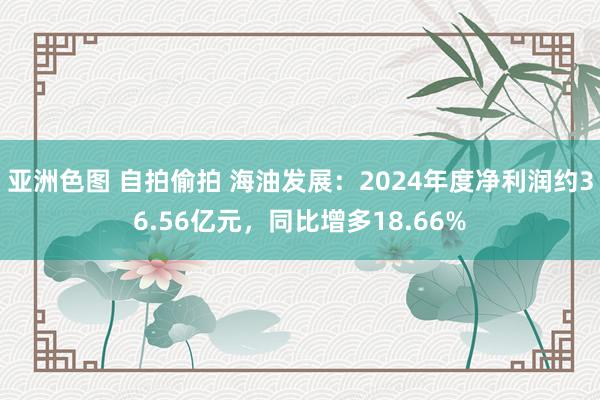 亚洲色图 自拍偷拍 海油发展：2024年度净利润约36.56亿元，同比增多18.66%