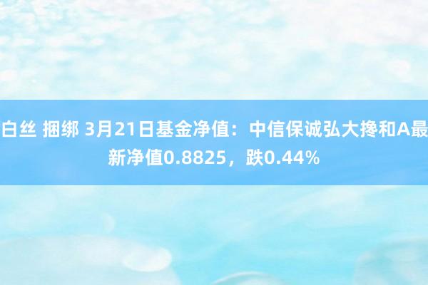 白丝 捆绑 3月21日基金净值：中信保诚弘大搀和A最新净值0.8825，跌0.44%