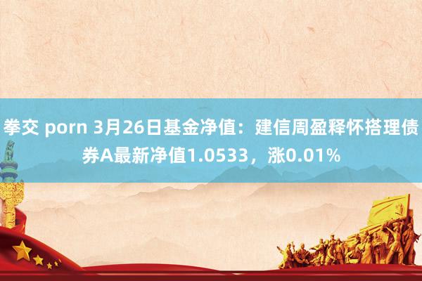 拳交 porn 3月26日基金净值：建信周盈释怀搭理债券A最新净值1.0533，涨0.01%