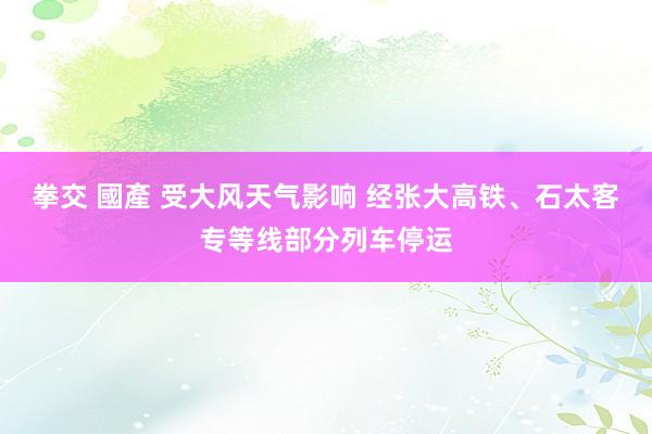 拳交 國產 受大风天气影响 经张大高铁、石太客专等线部分列车停运