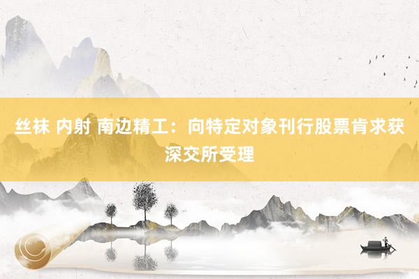 丝袜 内射 南边精工：向特定对象刊行股票肯求获深交所受理