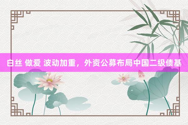 白丝 做爱 波动加重，外资公募布局中国二级债基