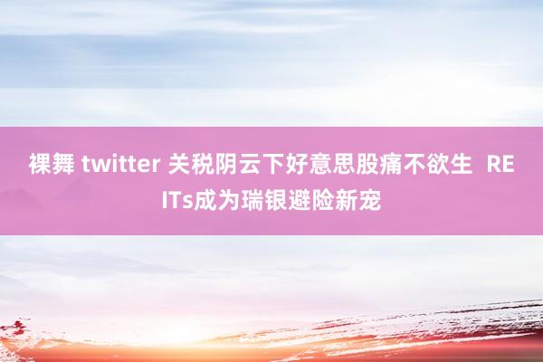 裸舞 twitter 关税阴云下好意思股痛不欲生  REITs成为瑞银避险新宠