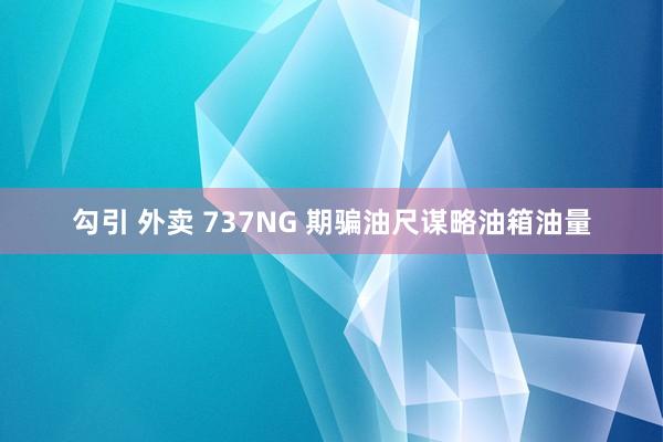 勾引 外卖 737NG 期骗油尺谋略油箱油量