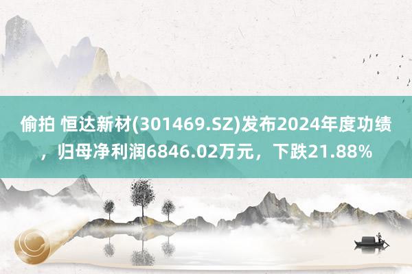 偷拍 恒达新材(301469.SZ)发布2024年度功绩，归母净利润6846.02万元，下跌21.88%