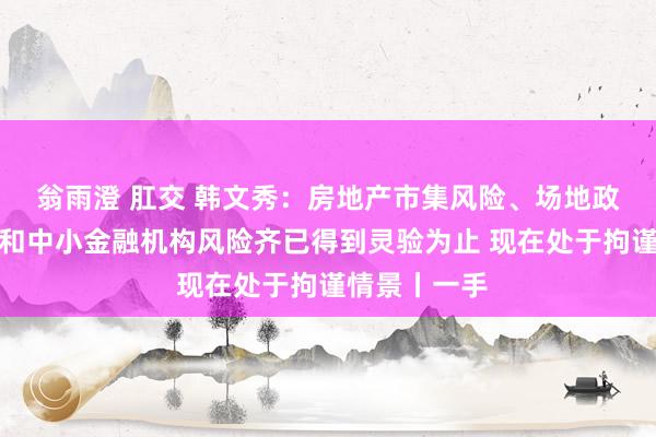 翁雨澄 肛交 韩文秀：房地产市集风险、场地政府债务风险和中小金融机构风险齐已得到灵验为止 现在处于拘谨情景丨一手