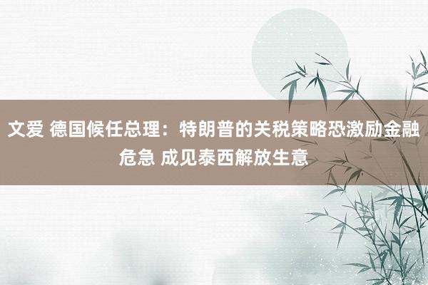 文爱 德国候任总理：特朗普的关税策略恐激励金融危急 成见泰西解放生意