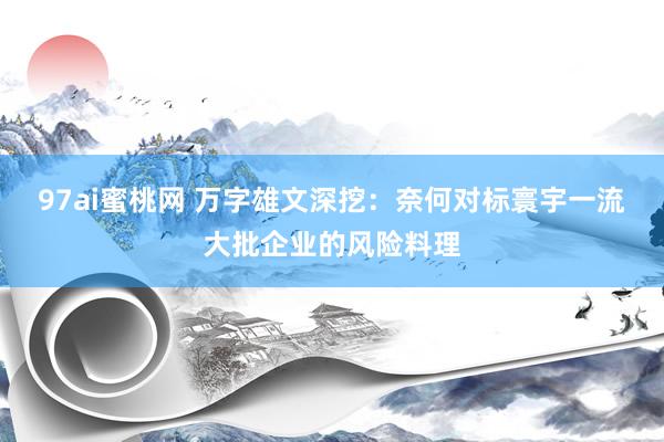 97ai蜜桃网 万字雄文深挖：奈何对标寰宇一流大批企业的风险料理